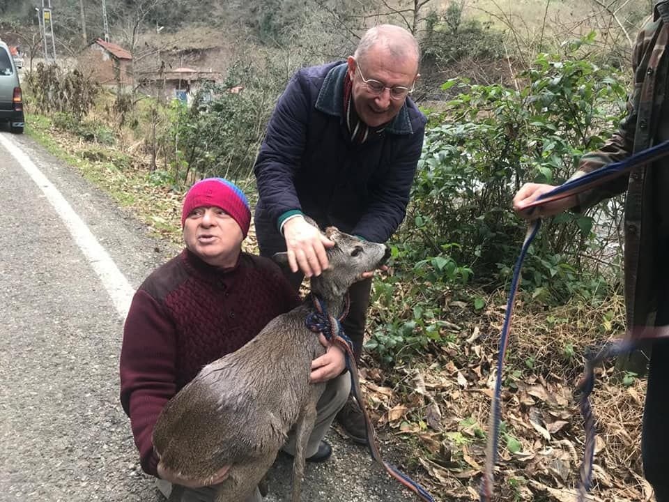 Chp Av İhalesinin İptal edilmesini istedi