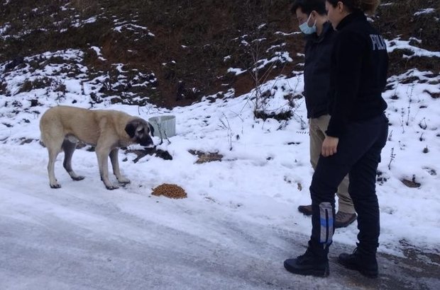 SOKAK HAYVANLARINA POLİS ŞEVKATİ