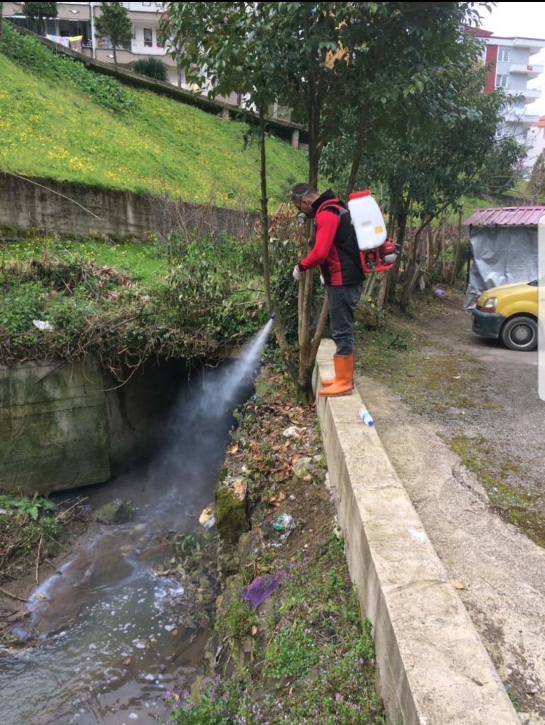 SİVRİSİNEK VE HAŞERESİZ BİR YAZ İÇİN İLAÇLAMA ÇALIŞMALARI BAŞLADI
