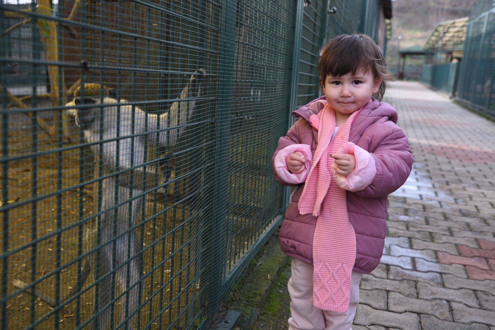 HAYVANAT BAHÇESİ ZİYARETÇİLERİNİ BEKLİYOR