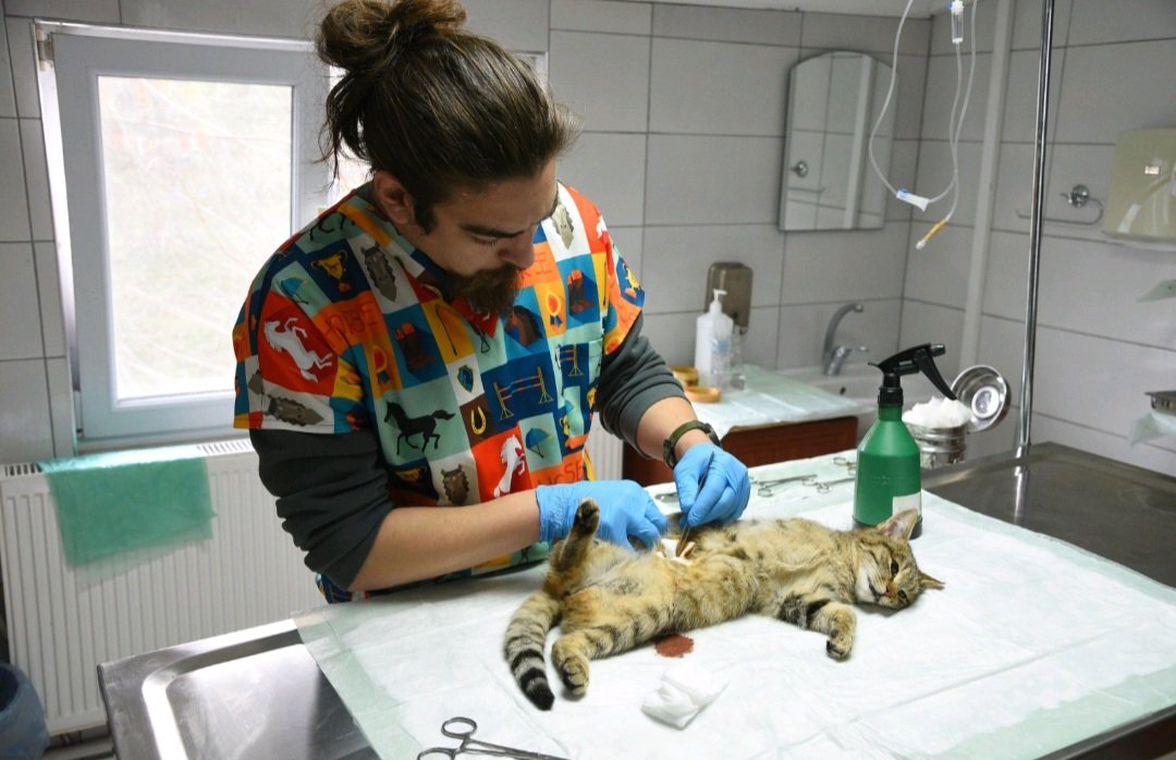 CAN DOSTLARIN GÜVENLİ YUVASI: GİRESUN BELEDİYESİ