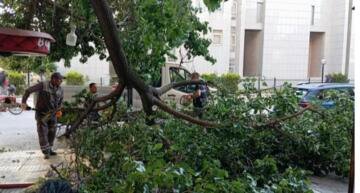 Ağaça başını çarpan vatandaş vefat etti!