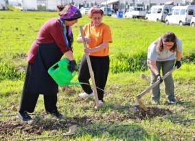 Bulancak Belediyesi’nden Ata Tohum Çalışmalarına Destek