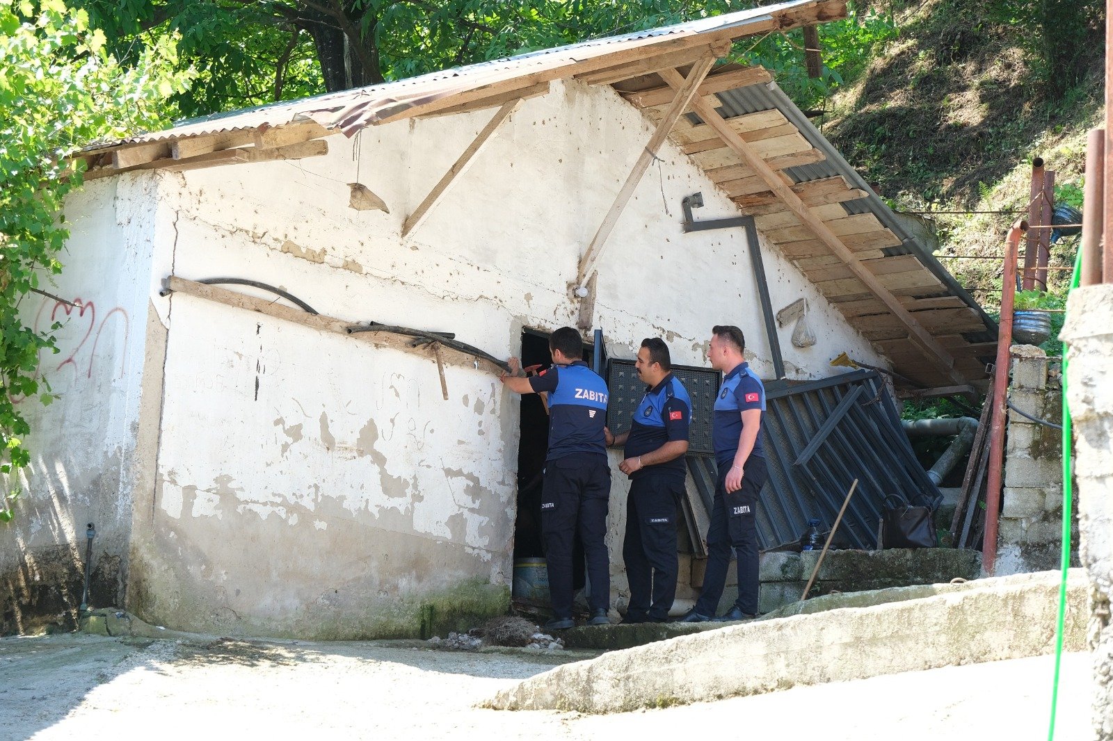 Ruhsatsız Mandıra Kalmayacak